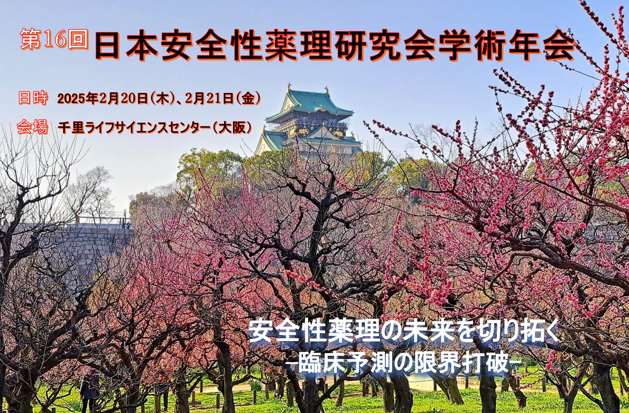 第16回学術年会の開催概要